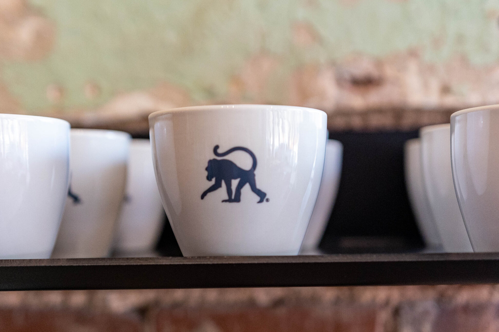 Now the News: a sneak peek at Frothy Monkey, new wine bar for Trussville, developments + more Now the News: a sneak peek at Frothy Monkey, new wine bar for Trussville, developments + more