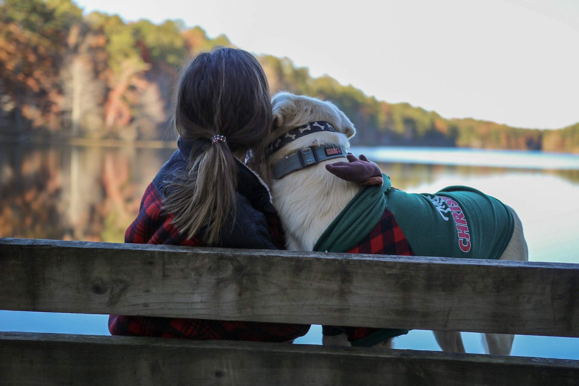 How to stay safe from ticks + tick-borne diseases—expert advice from Children’s of Alabama How to stay safe from ticks + tick-borne diseases—expert advice from Children’s of Alabama