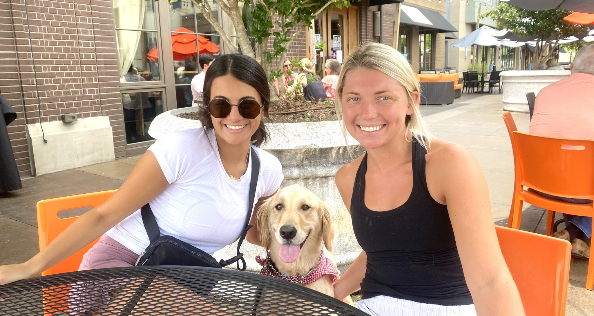 10 places to dine with your dog in Birmingham [PUP PHOTOS INCLUDED]