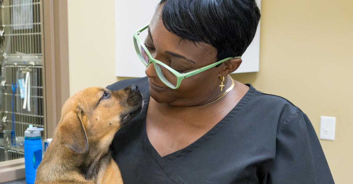 NEW: 11 local animal nonprofits awarded K through Remy Fund