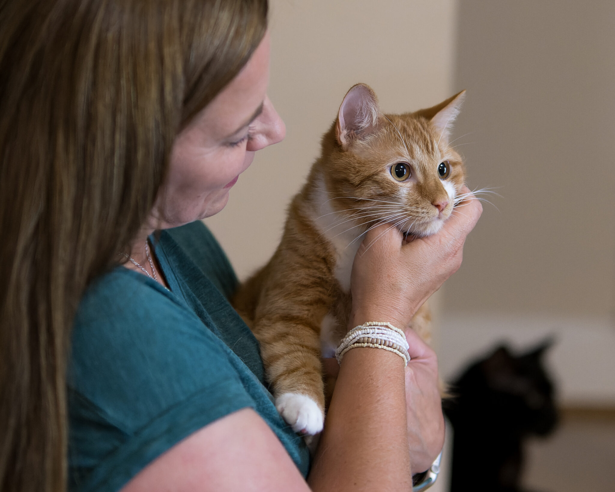 ALSpayNeuter Cats 20220729 144122 2 6 Here's how to STOP strays + reduce pound pups in Birmingham