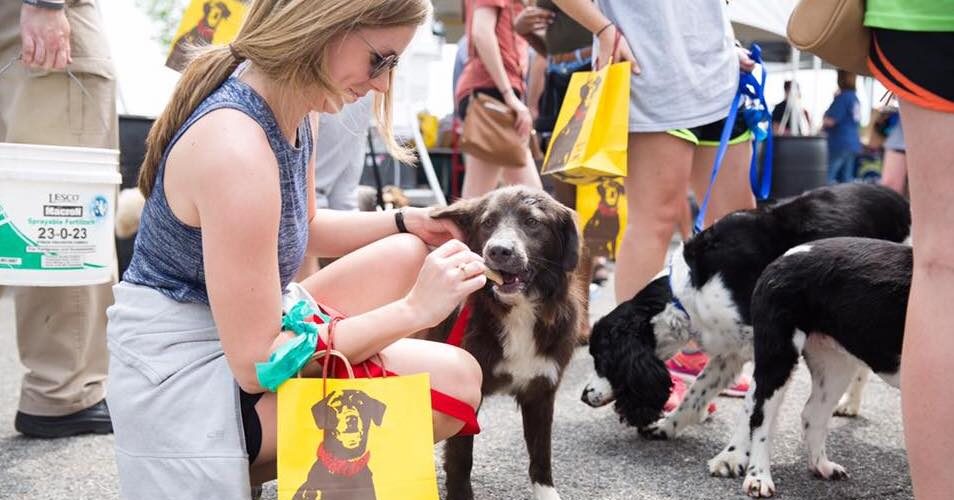 Hop over to these 13 weekend events in Birmingham including Fido Fest—March 29-31