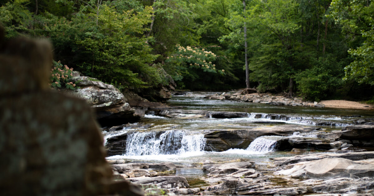 Turkey Creek Nature Preserve could soon add 300+ acres
