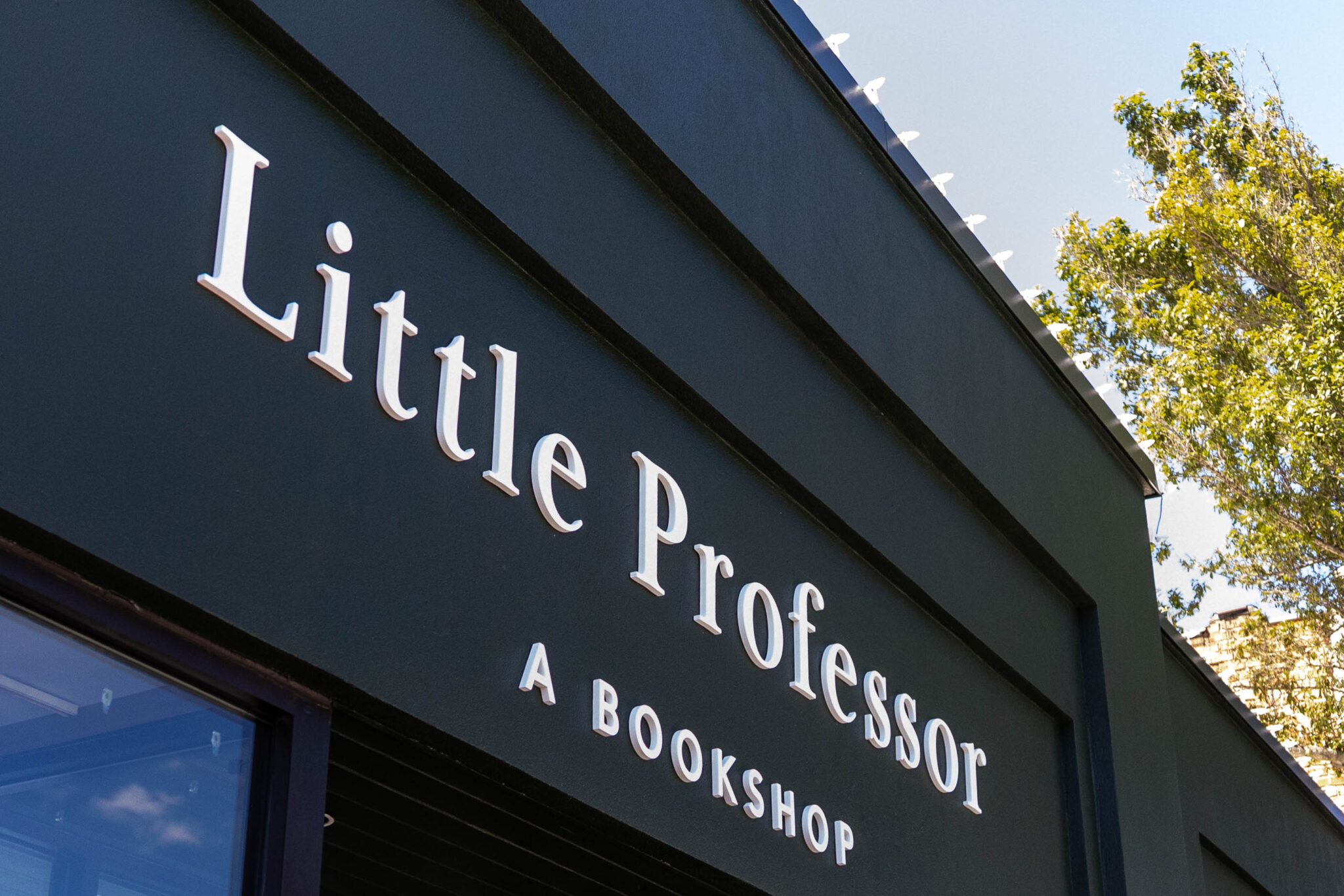 Little Professor