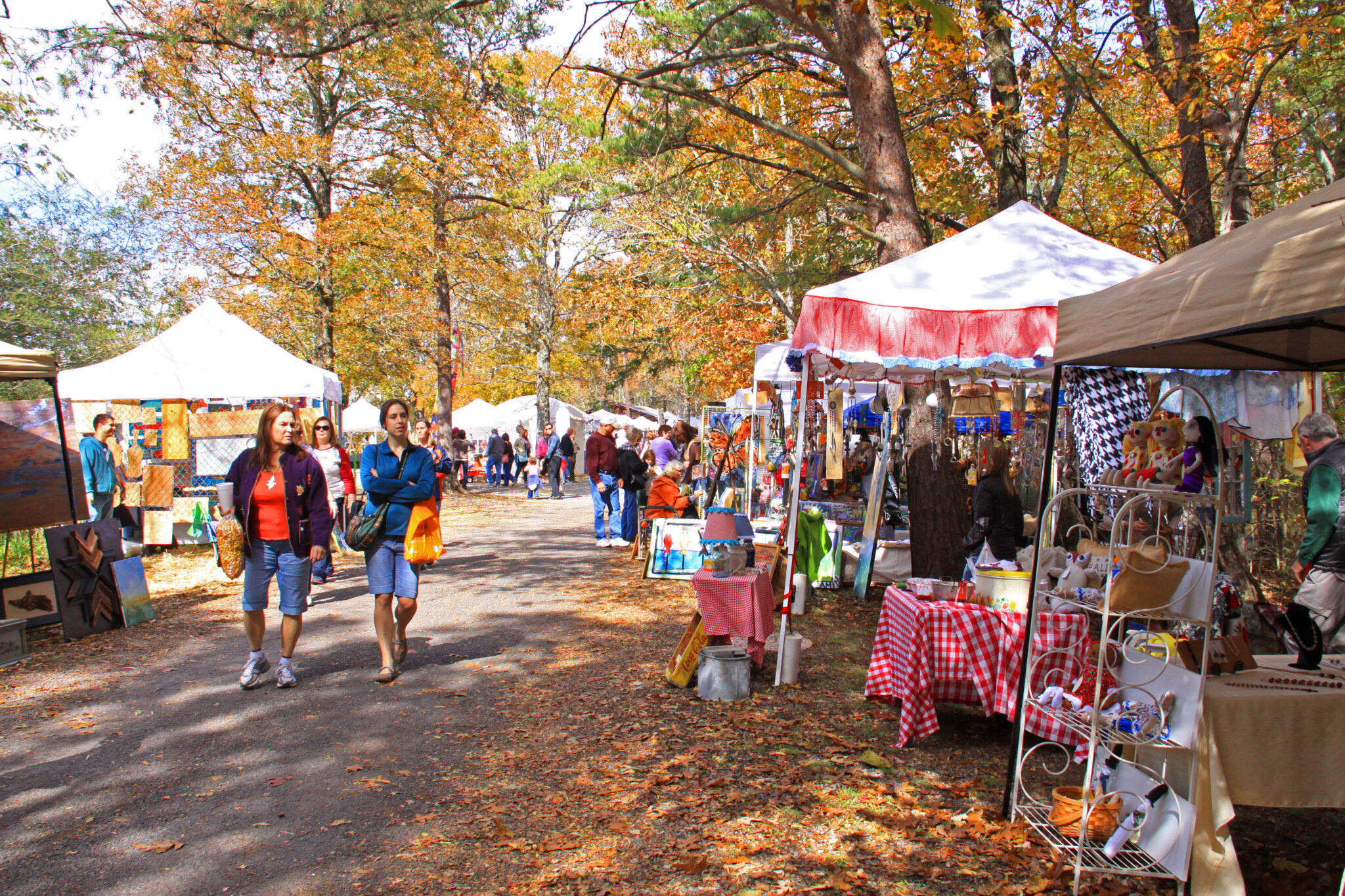 9 unique reasons you need to visit Fort Payne this fall, including Mentone Colorfest Oct. 15-16