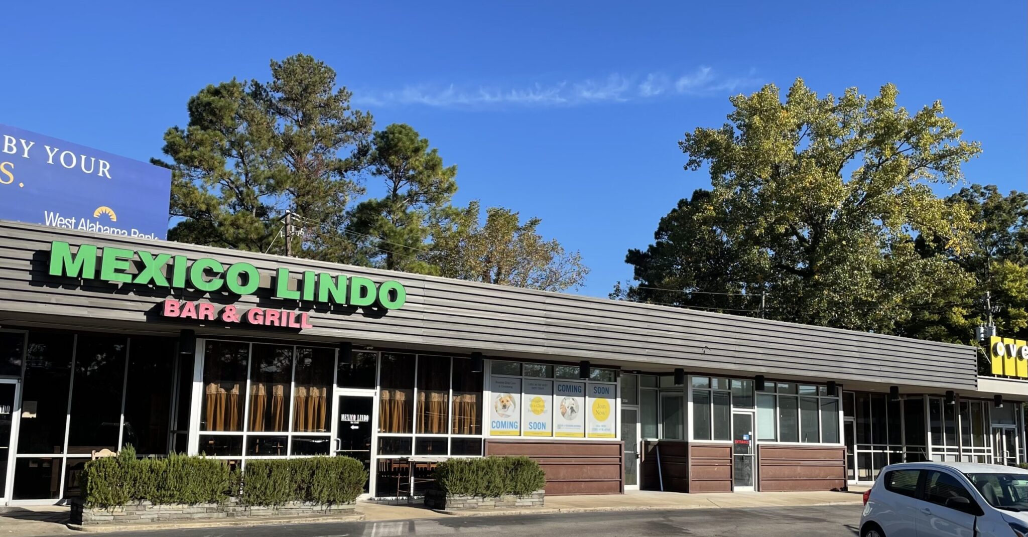Scenthound, new dog grooming concept, to open 2nd location in Mountain Brook