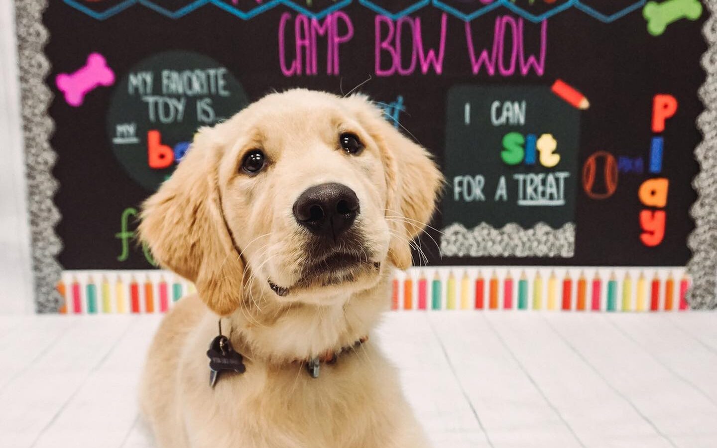 Now the News: Birmingham-based app goes worldwide, exciting new openings + more Now the News: Birmingham-based app goes worldwide, exciting new openings + more