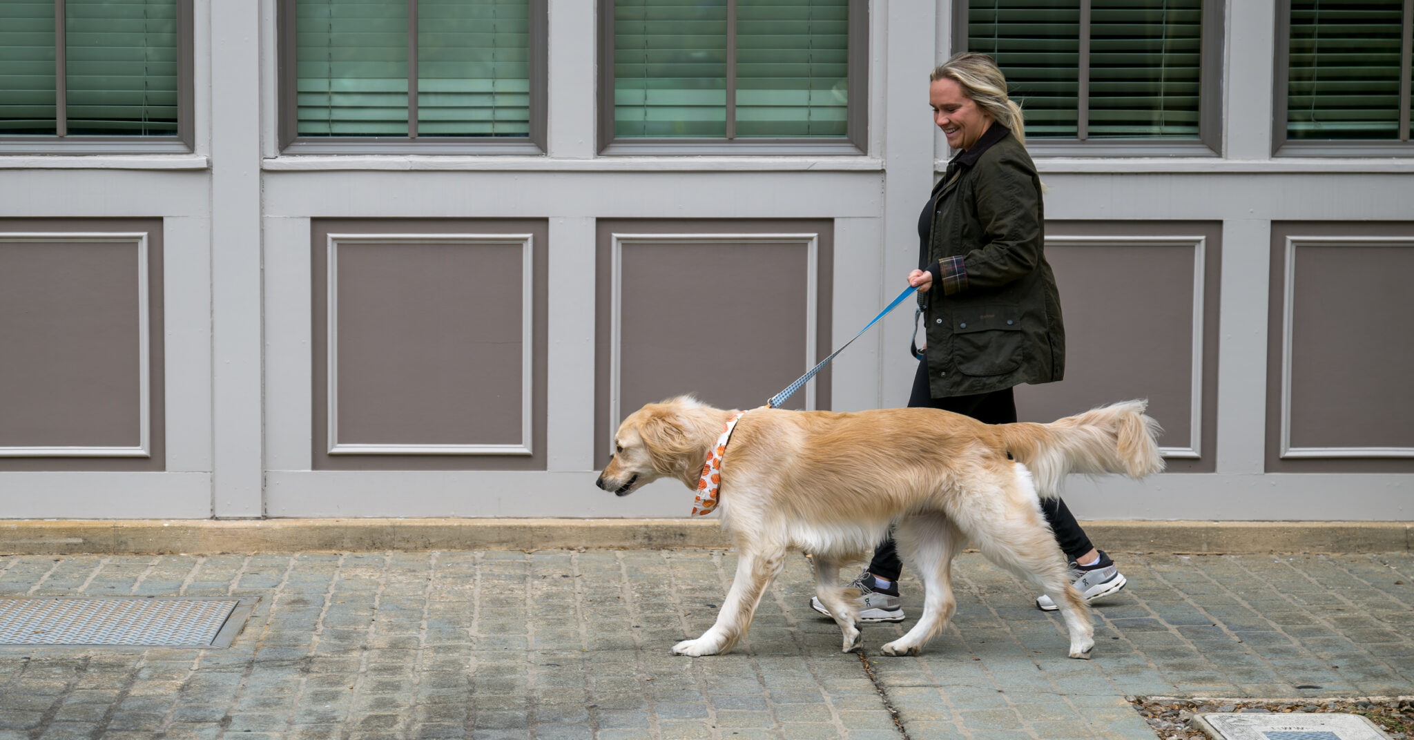 Traveling for the holidays? How to make sure your pet’s well taken care of at home—book now