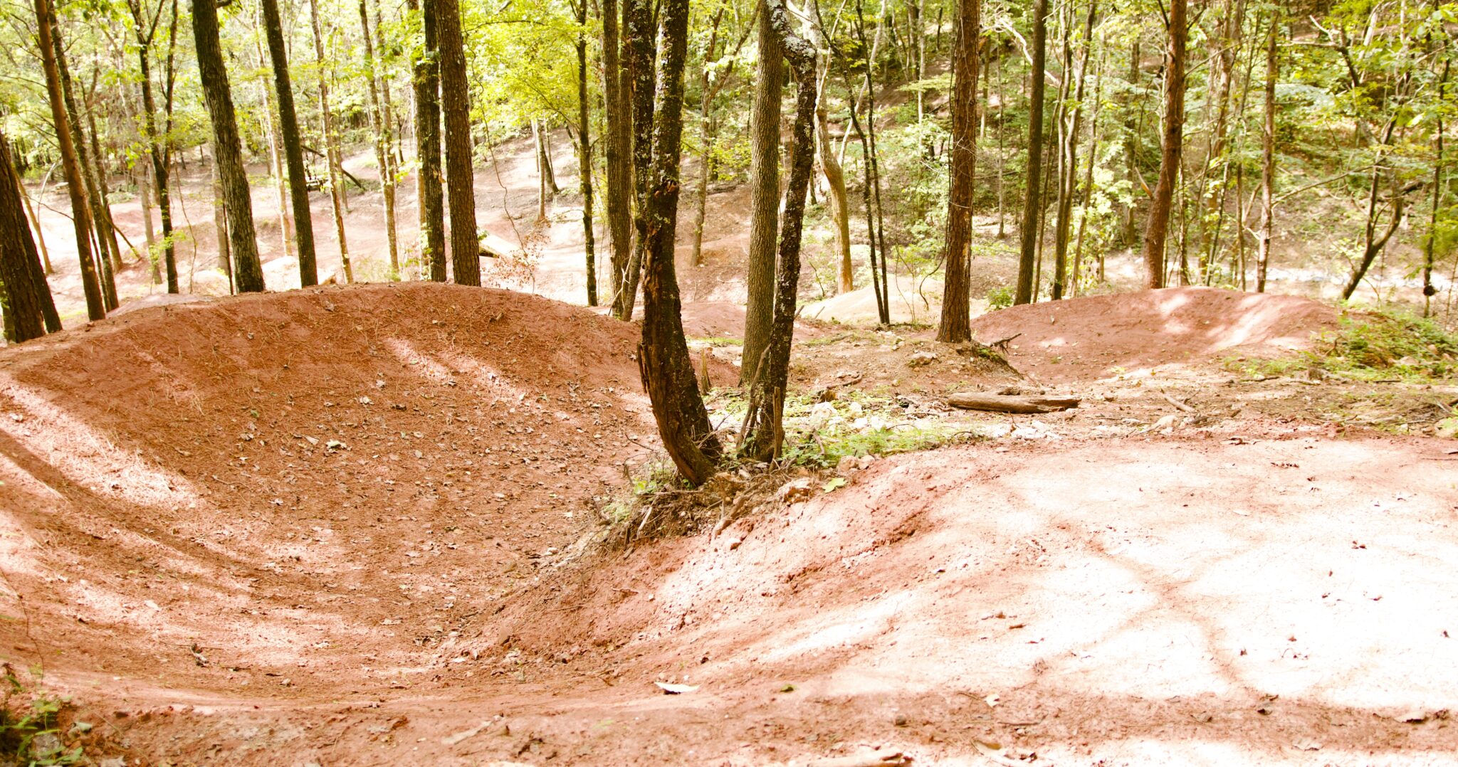 NEW RideBHM—Alabama's firstever downhill mountain biking park—opens