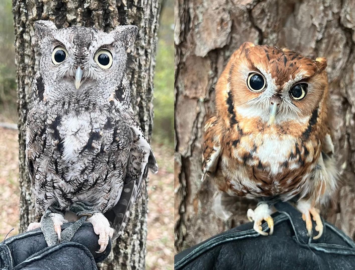 9 local gifts for the nature nerd in your life