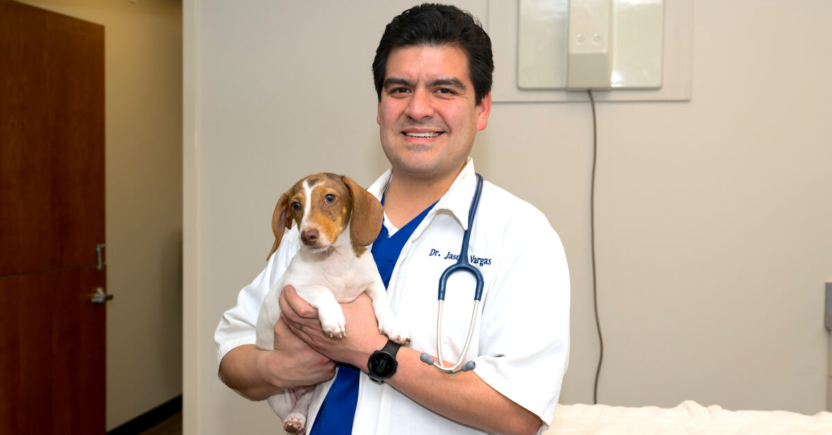 Pet owners—meet Birmingham’s first veterinary urgent care center Pet owners—meet Birmingham’s first veterinary urgent care center