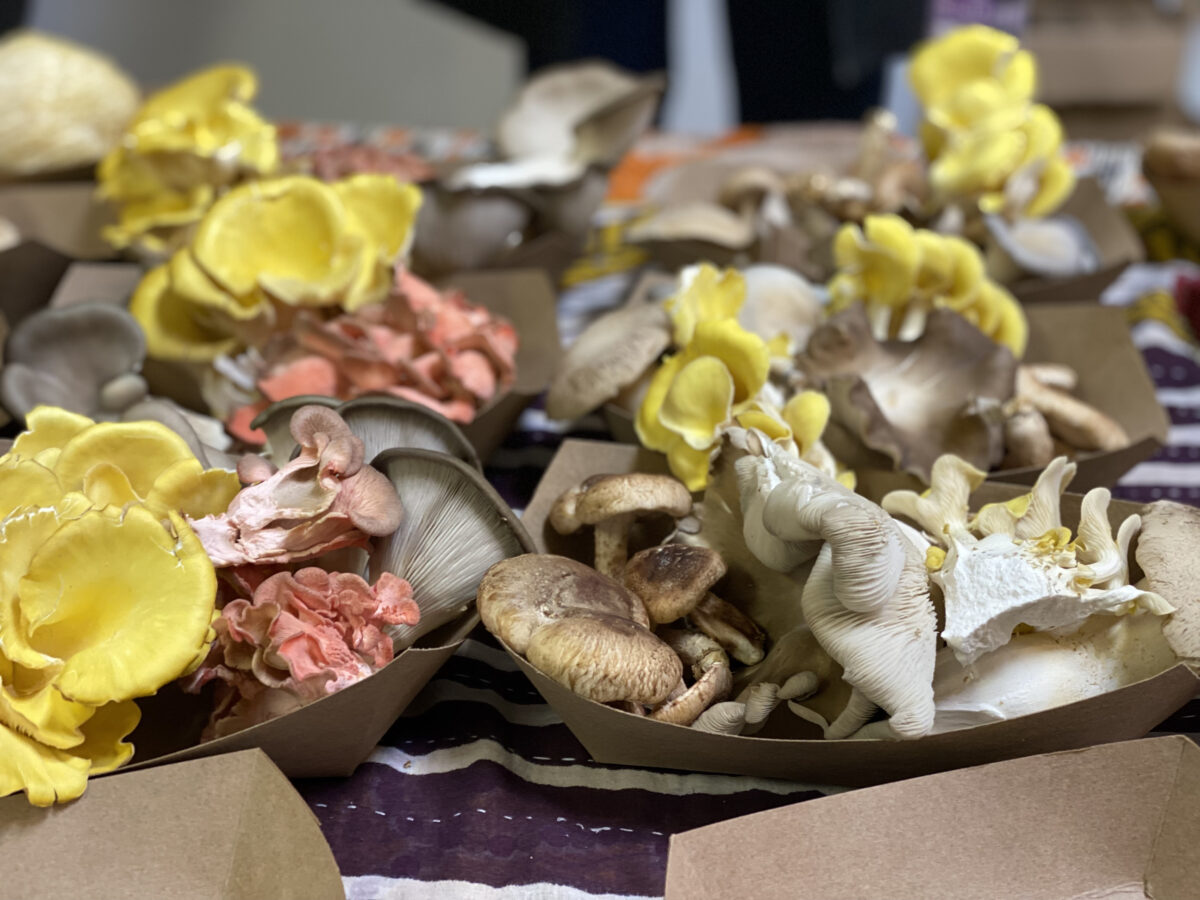 Woodlawn Street Market, Pepper Place Market & more are back for 2023 2 PP1 Woodlawn Street Market, Pepper Place Market & more are back for 2023