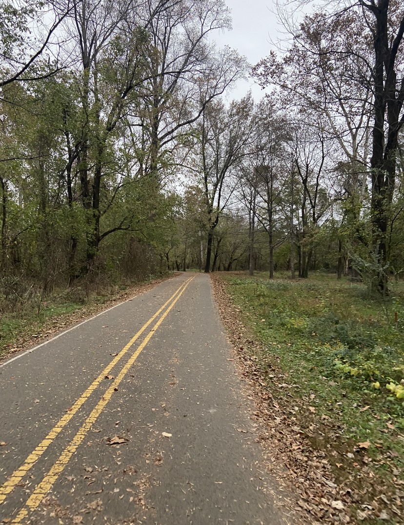 6 places to get on your bike and ride in Birmingham—plus local shops to support 4 IMG 5359 6 places to get on your bike and ride in Birmingham—plus local shops to support