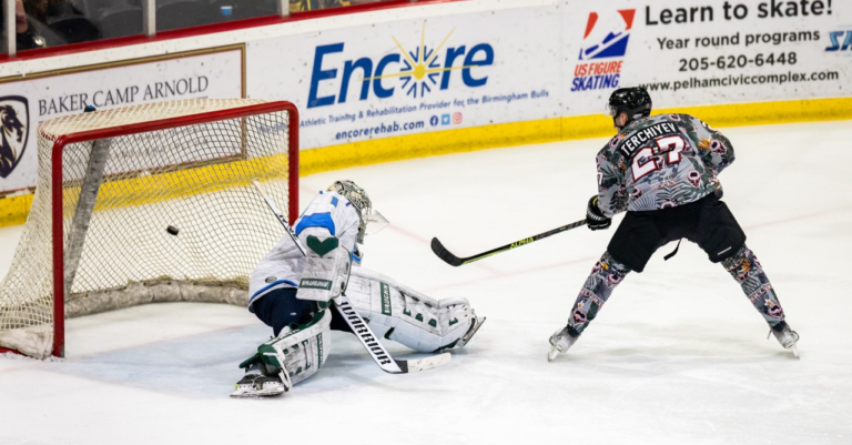 Birmingham Bulls are playing for the SPHL President’s Cup Finals at home on Thursday Birmingham Bulls are playing for the SPHL President’s Cup Finals at home on Thursday