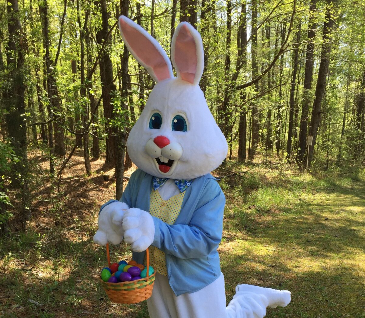 easter bunny, Easter egg hunt