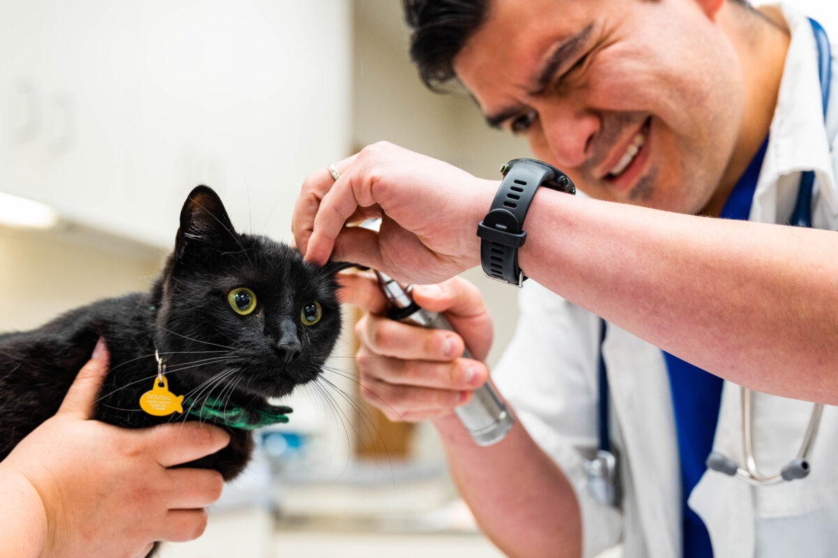 5 ways this pet urgent care is changing the game in Birmingham 5 ways this pet urgent care is changing the game in Birmingham