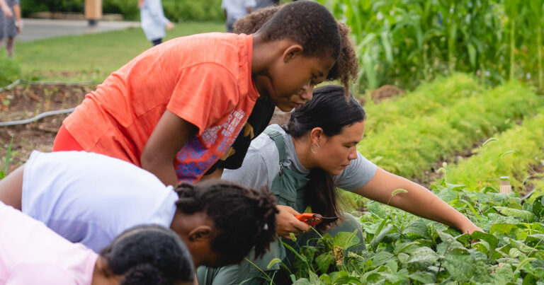 Birmingham approves $805K to expand Jones Valley Teaching Farm programs 13 JVTF