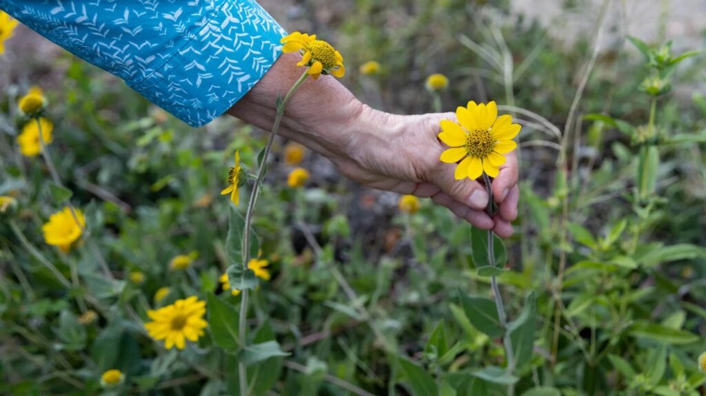 Check out these 10 unique pocket gardens in the Birmingham area Check out these 10 unique pocket gardens in the Birmingham area