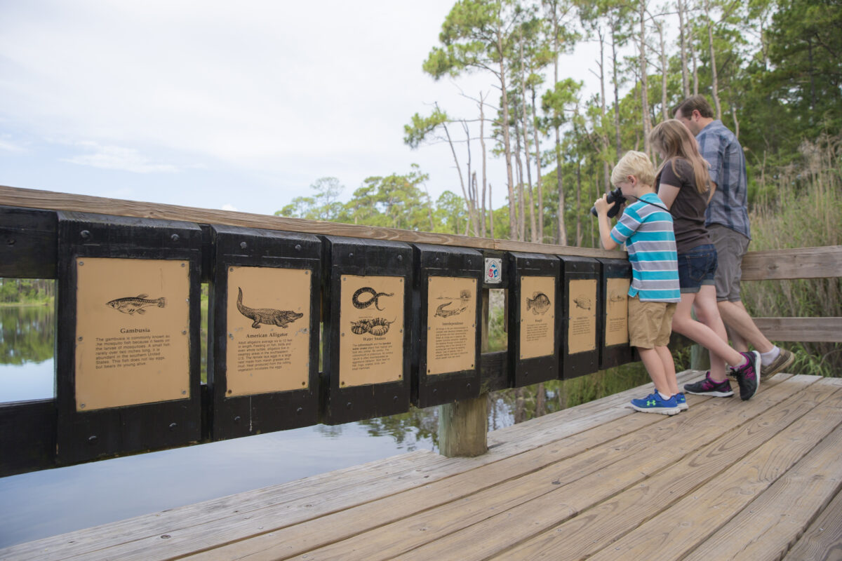 mobile bird1 9 hidden gems in Alabama’s Port City for every traveler’s bucket list—plan now