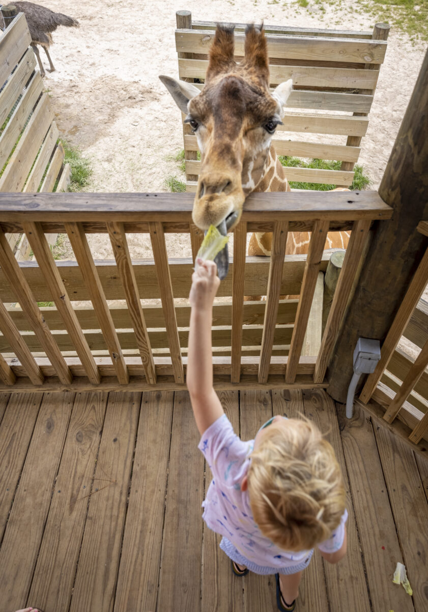 Alabama Gulf Coast Zoo