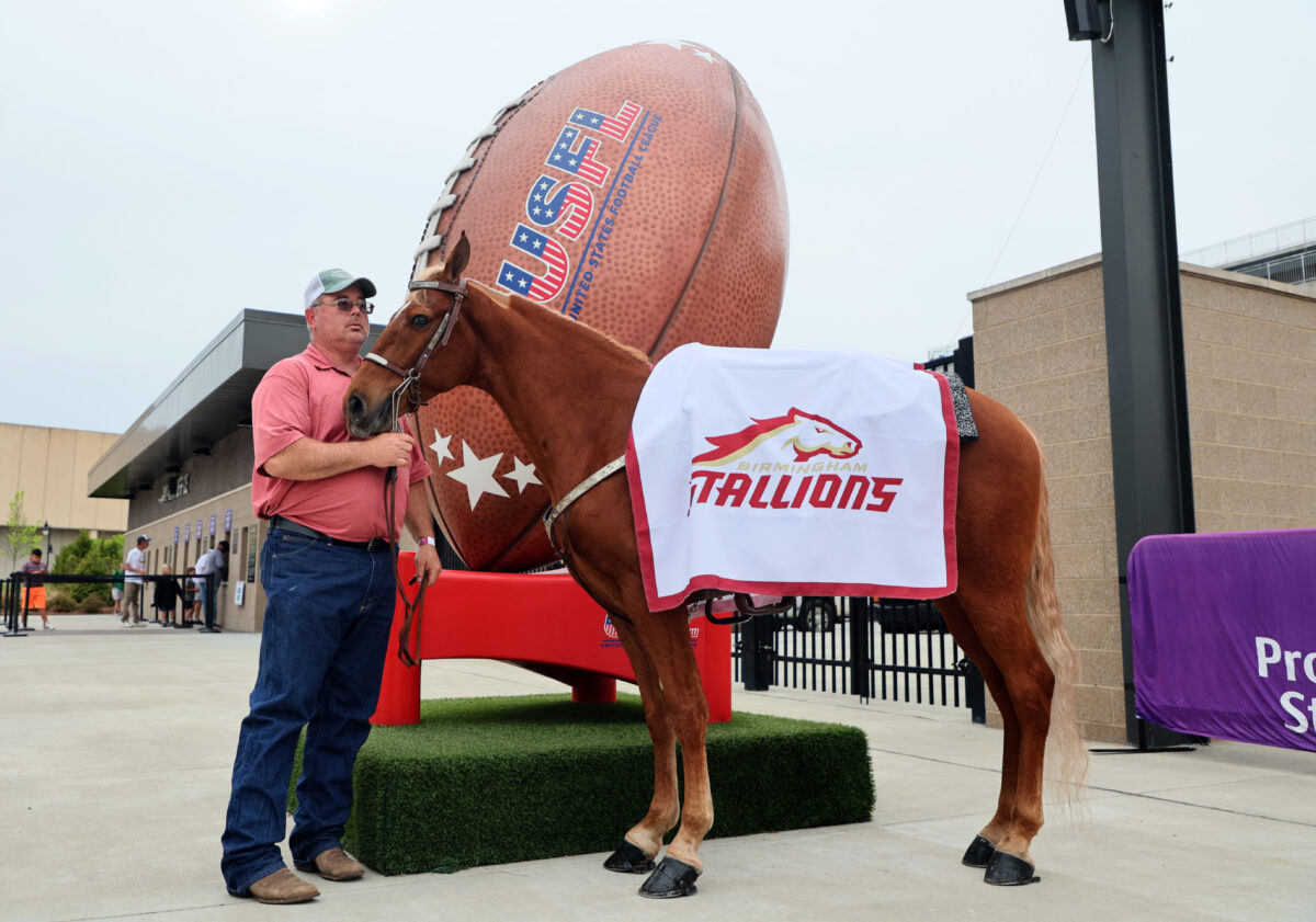 GettyImages 1482489826 1 Don’t miss it! Only 2 Stallions games left for the season. Fans share their love.