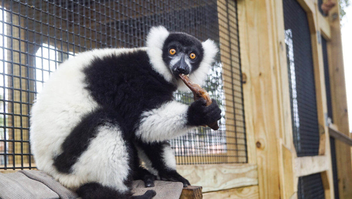 Alabama Gulf Coast Zoo