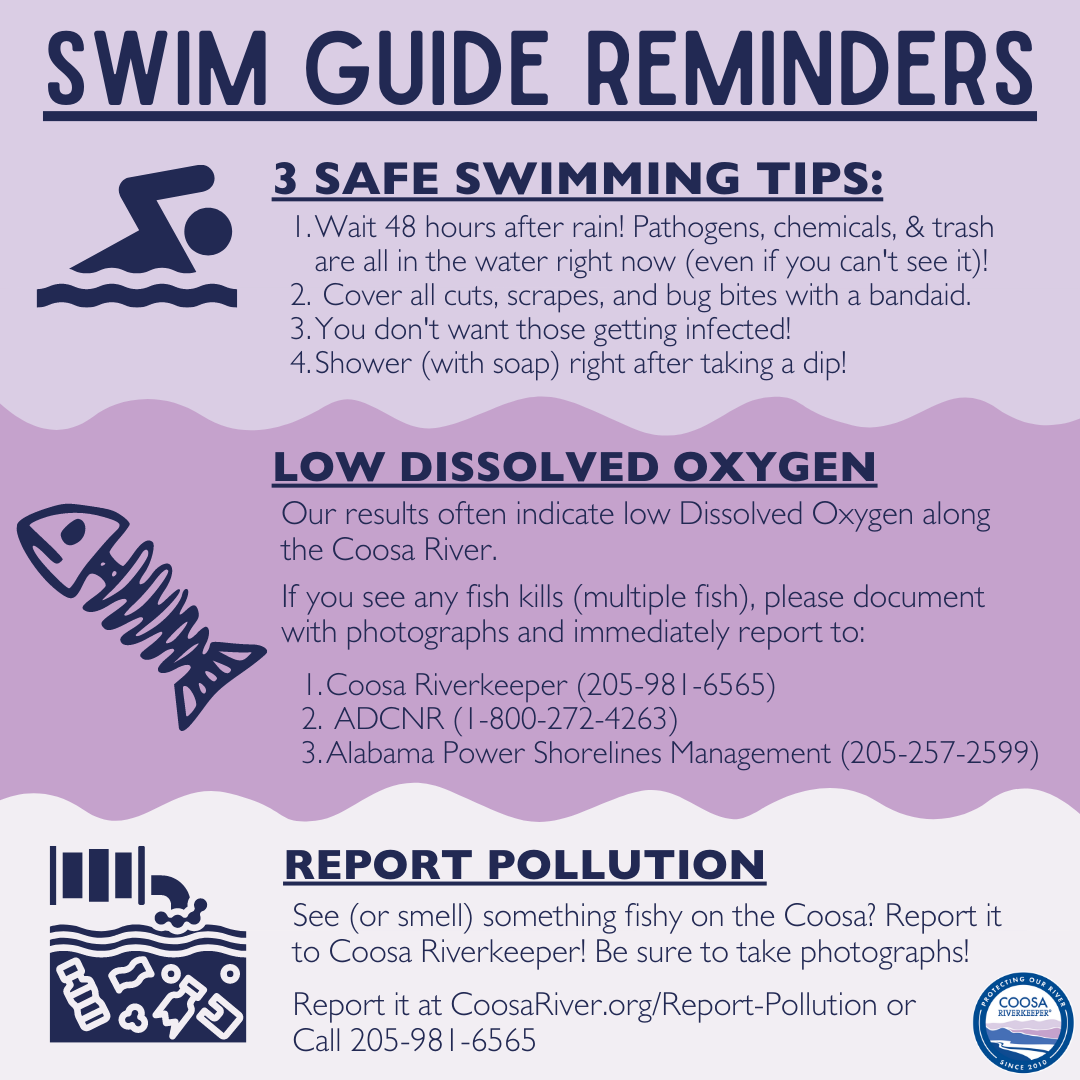 image 3 Swimming in the Cahaba + Coosa watersheds this Memorial Day? Check your local “swim guide” first