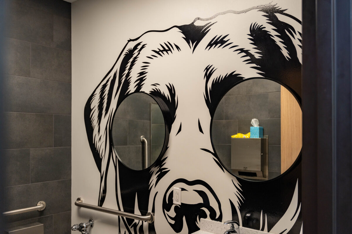 An exclusive look at Birmingham Animal Hospital + Resort's luxe