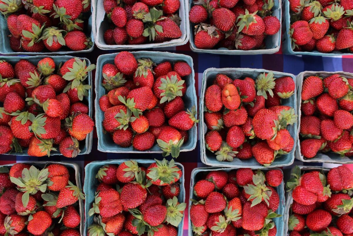 9 hidden gem farmers markets in Birmingham you need to visit this summer 9 hidden gem farmers markets in Birmingham you need to visit this summer