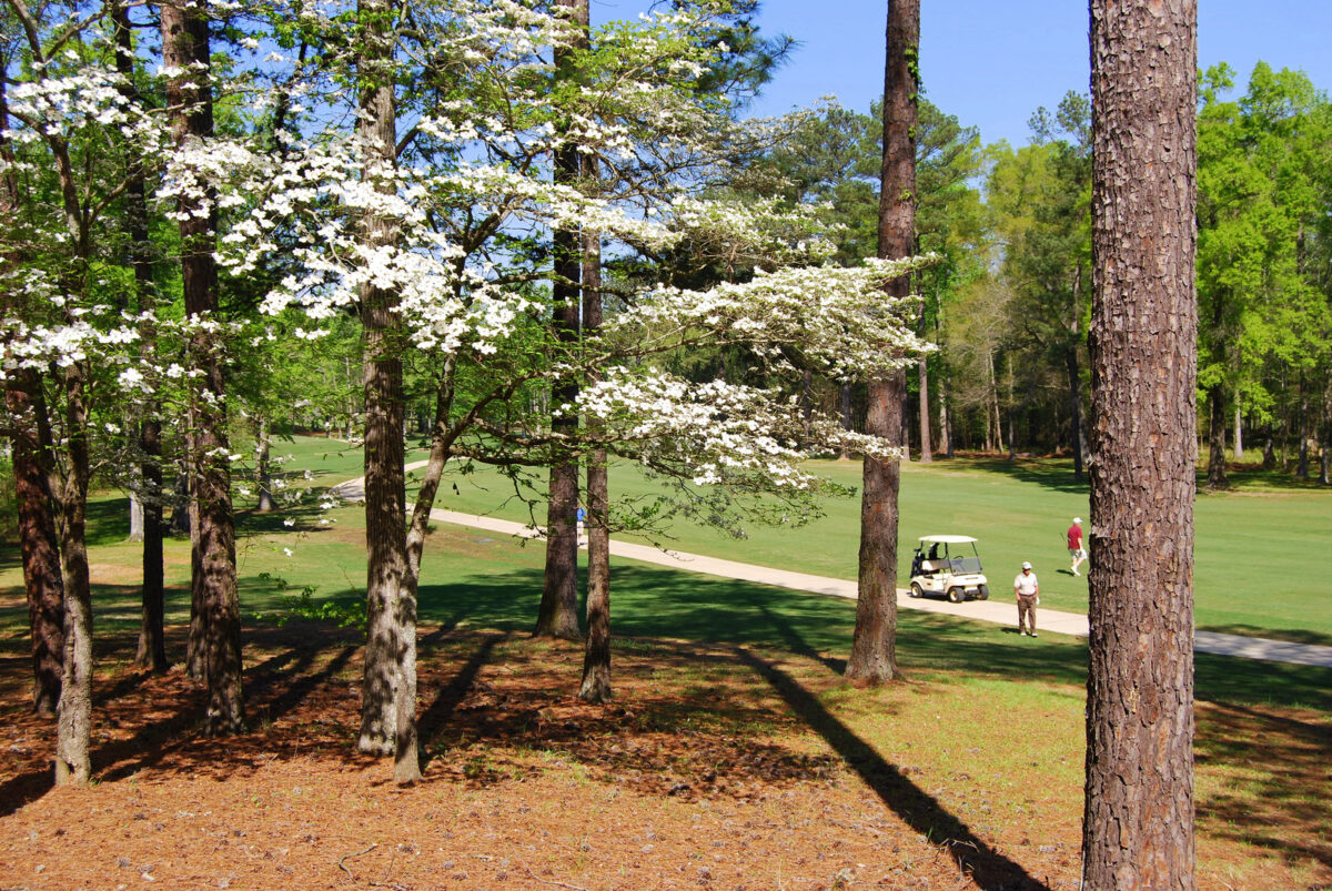 9 public golf courses to master your swing in + around Birmingham 9 public golf courses to master your swing in + around Birmingham