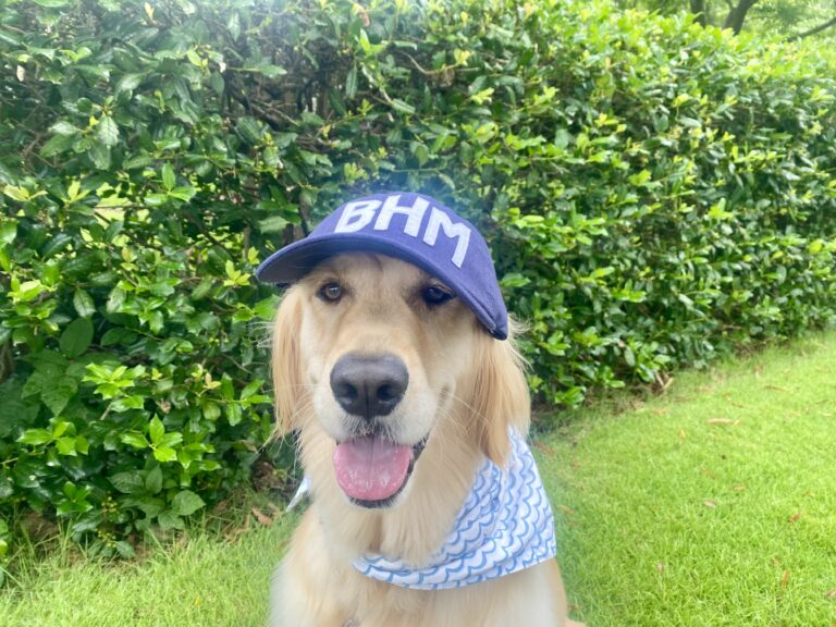 Birmingham’s most popular dog + cat names in 2025