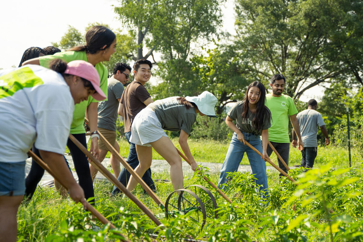 Unique ways Jones Valley Teaching Farm is growing good things in Birmingham 7 Regions Volunteers at Jones Valley Teaching Farm