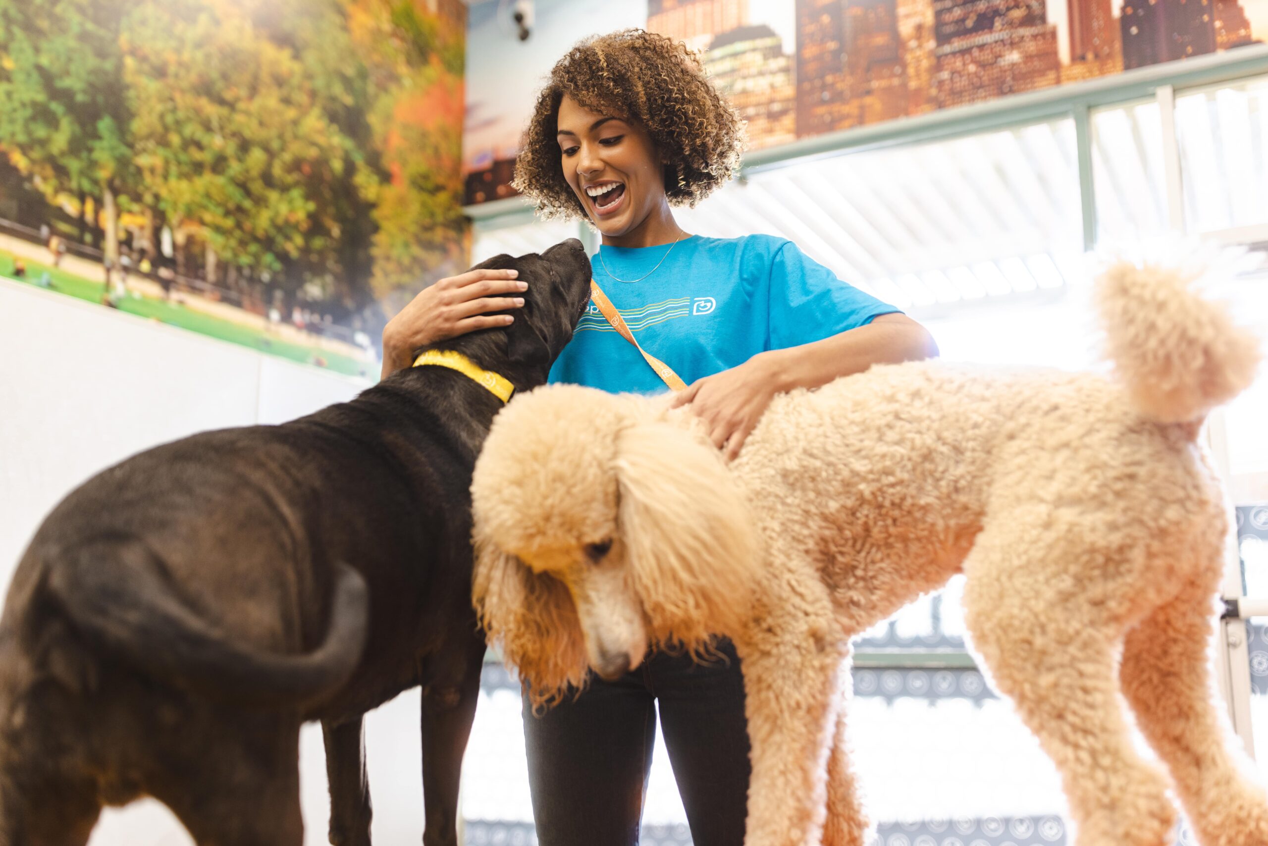 NEW Dogtopia Parkside opening in downtown Birmingham on October 2nd NEW Dogtopia Parkside opening in downtown Birmingham on October 2nd