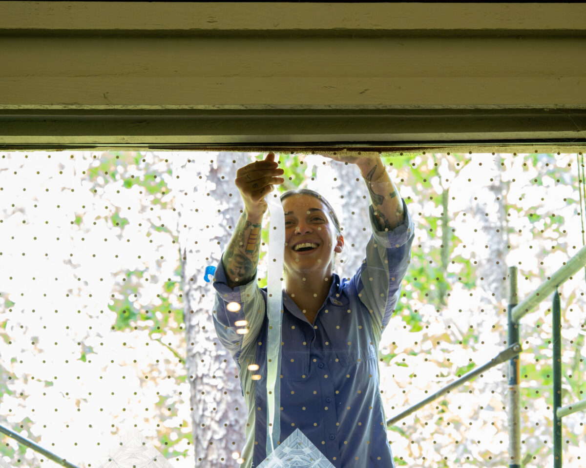 4 easy ways to protect birds from window collisions in Birmingham 4 easy ways to protect birds from window collisions in Birmingham