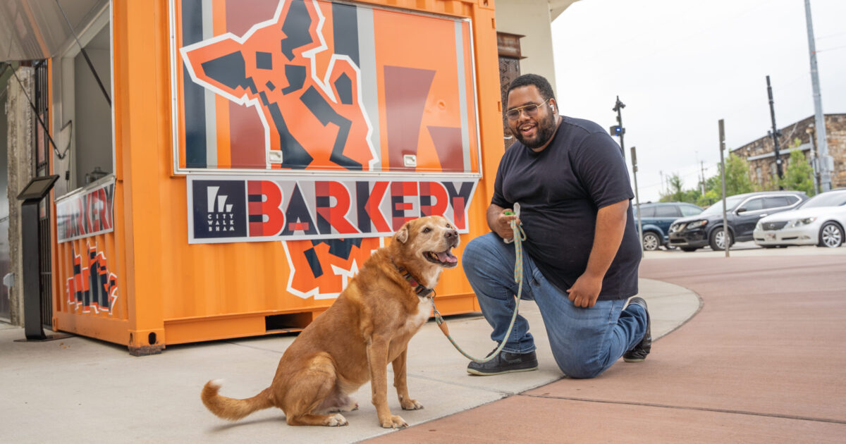 Fall in love with the coolest dog park downtown
