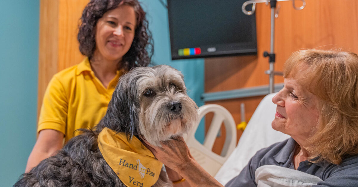 Remy Fund: K+ awarded to animal nonprofits in Greater Birmingham Remy Fund: K+ awarded to animal nonprofits in Greater Birmingham