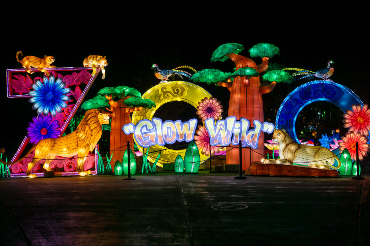 Watch the Birmingham Zoo come to life at night during Glow Wild, now through January 15—get tickets Watch the Birmingham Zoo come to life at night during Glow Wild, now through January 15—get tickets