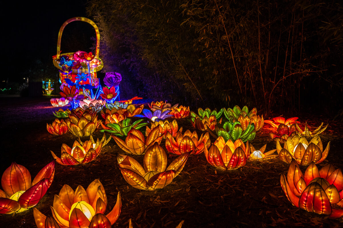 6 spectacular holiday light shows to see around Birmingham 6 spectacular holiday light shows to see around Birmingham