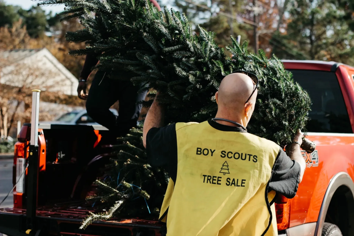 5 local spots to find your Christmas tree this year 5 local spots to find your Christmas tree this year