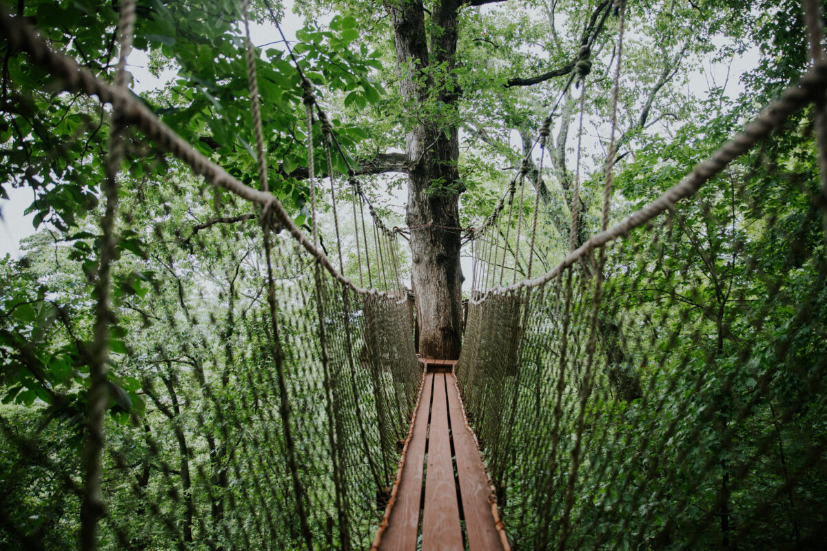 21 stunning hiking trails near Birmingham for all experience levels 21 stunning hiking trails near Birmingham for all experience levels