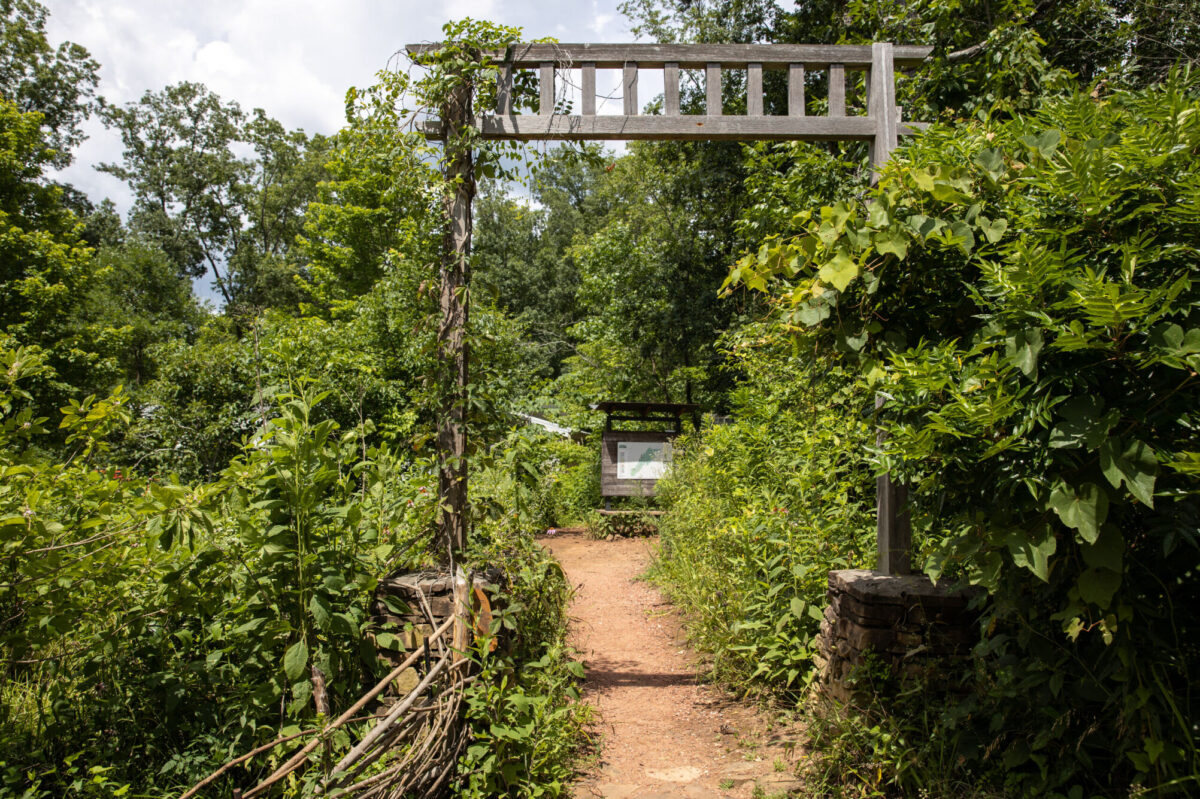 5 ways to spend your Earth Day in Birmingham