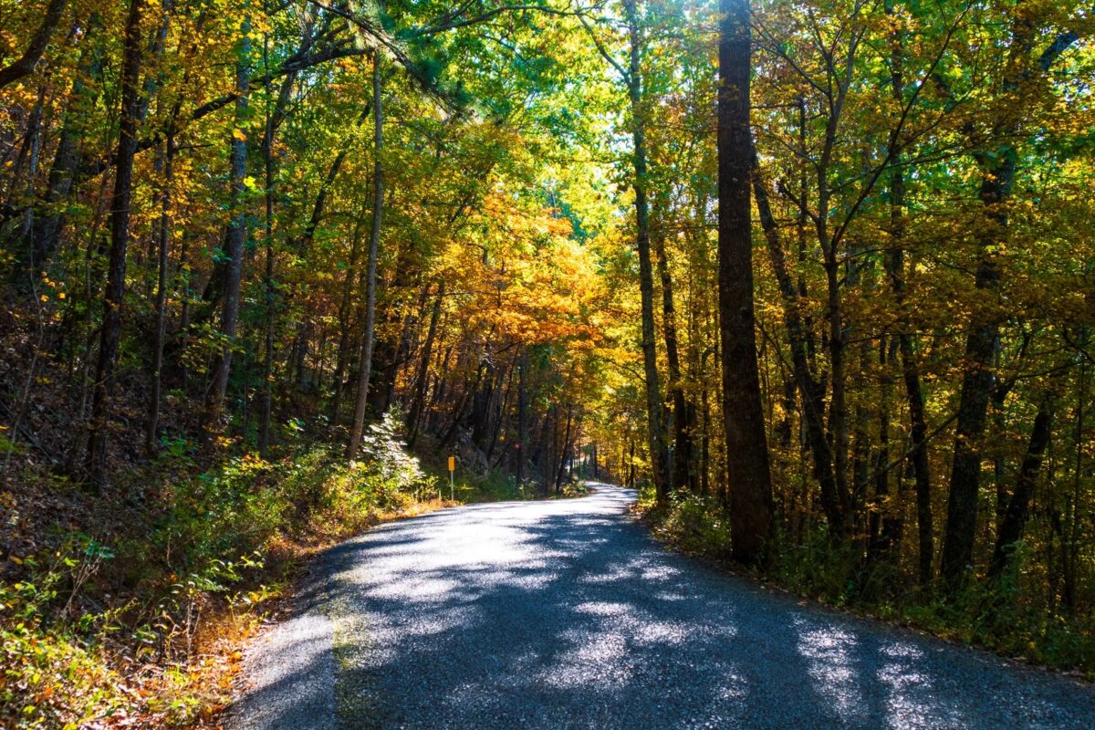 Drive around Birmingham for beautiful fall views at these 5 places Drive around Birmingham for beautiful fall views at these 5 places