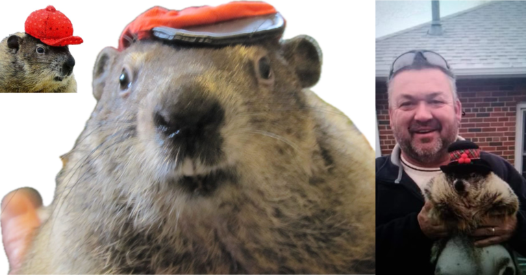 ”Smith Lake Jake” set to make forecast at Graysville Groundhog Day reveal ”Smith Lake Jake” set to make forecast at Graysville Groundhog Day reveal