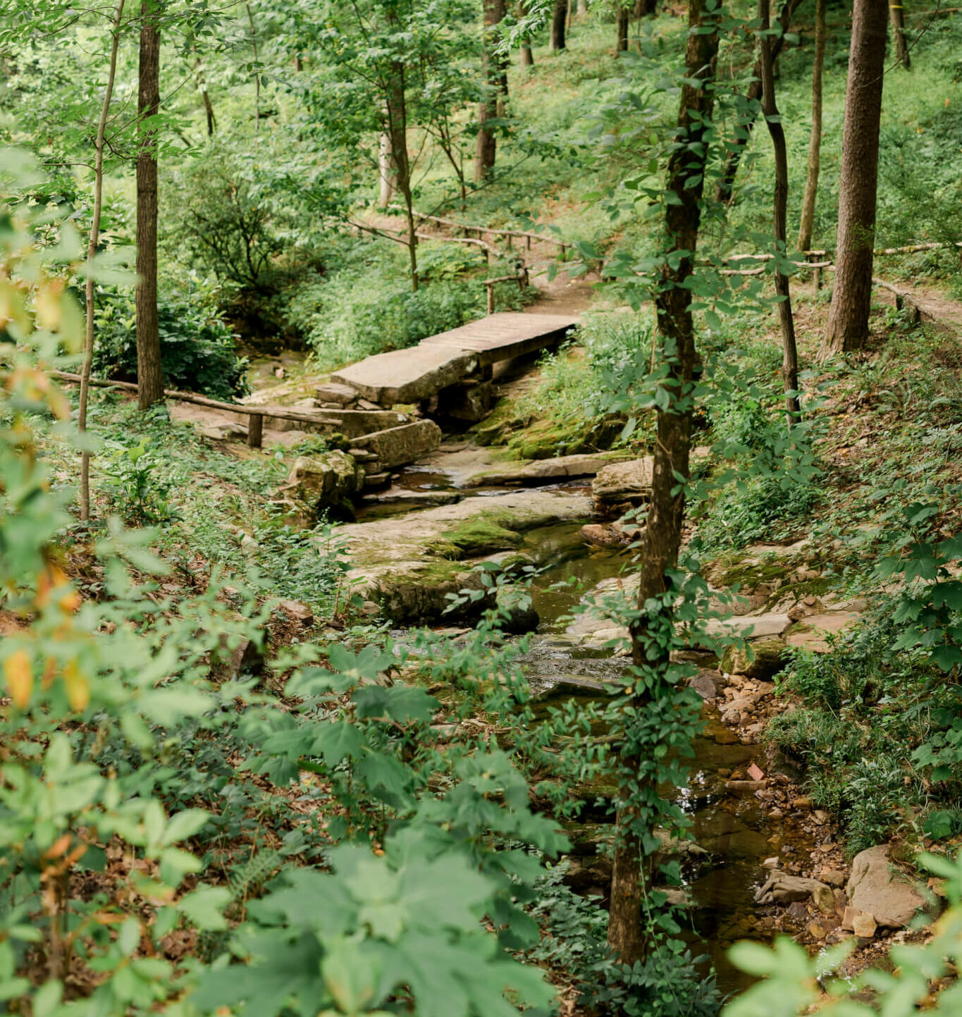 Kaul Wildflower Garden Tour