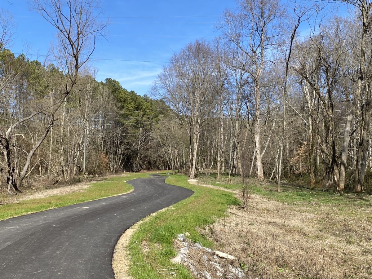 Homewood approves new habitat project for infamous Lakeshore Owls 2 Homewood