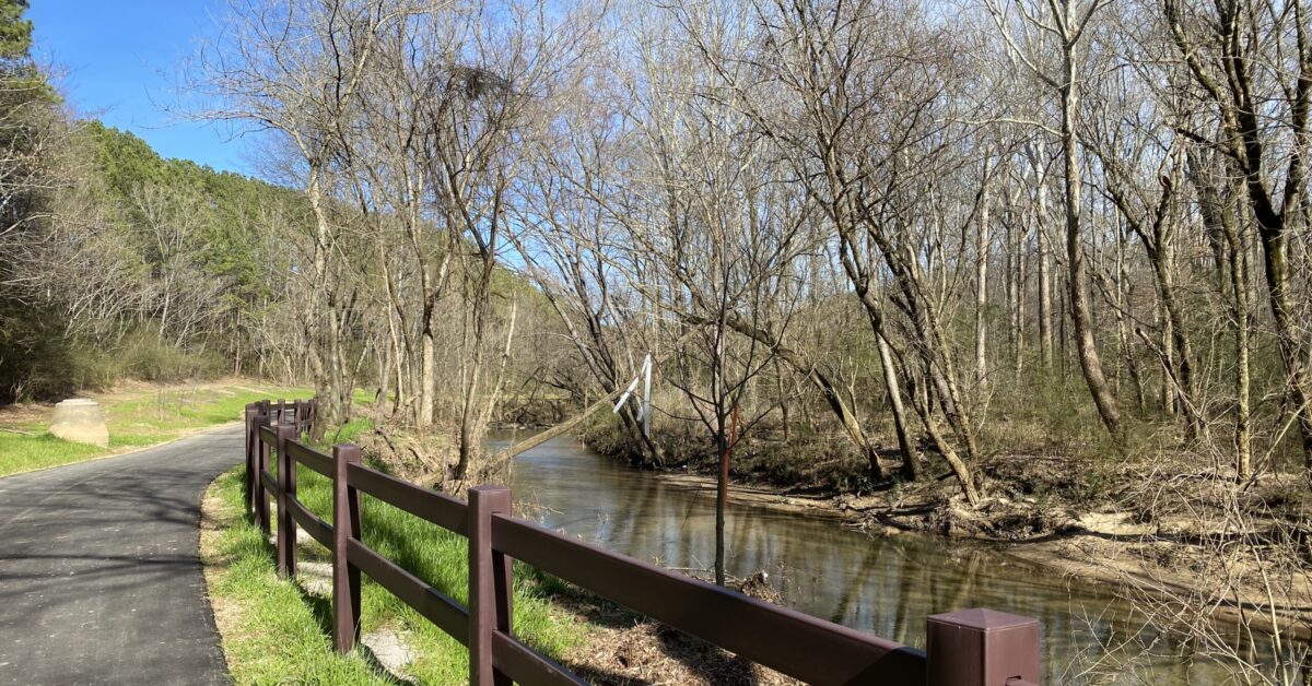 Homewood approves new habitat project for infamous Lakeshore Owls 1 Homewood