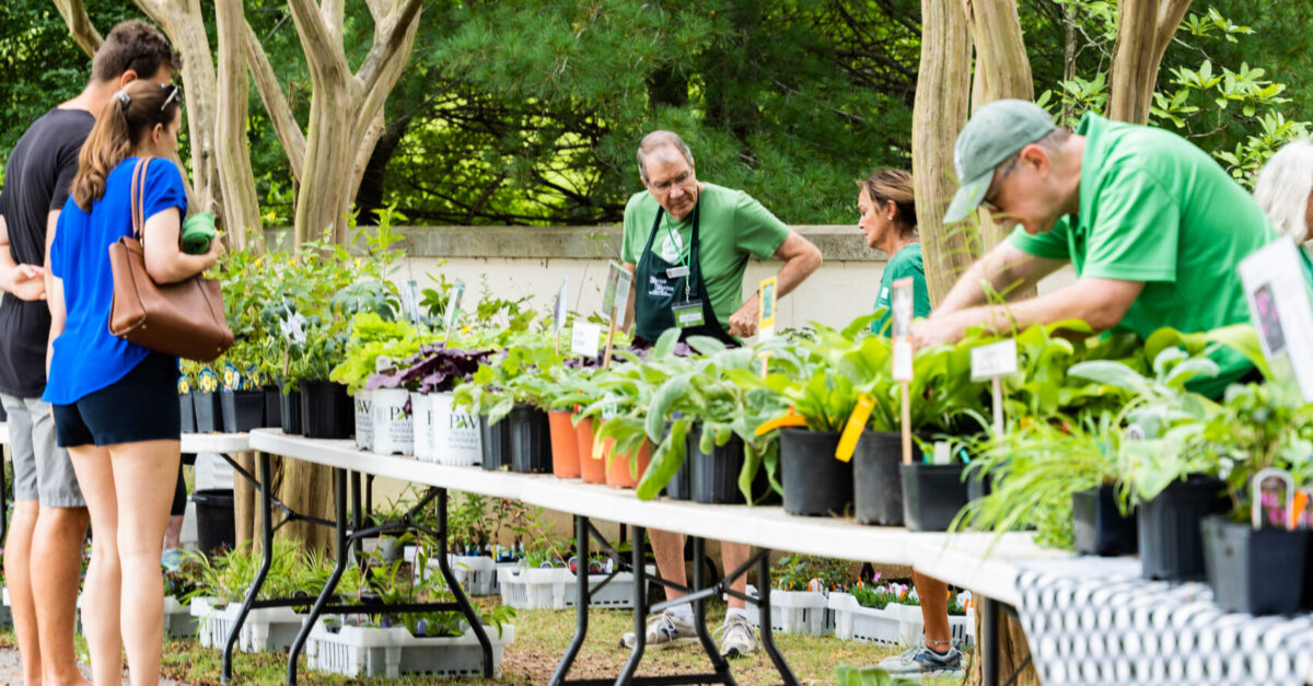 How you can become a champion for native plants and trees in Alabama