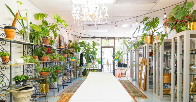 SNEAK PEEK: Unique wine, plants & event space opens in downtown Birmingham SNEAK PEEK: Unique wine, plants & event space opens in downtown Birmingham