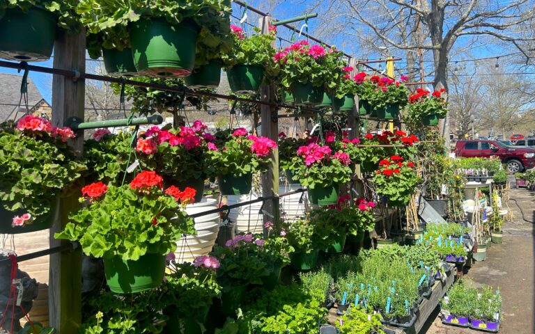 10 local plant sales + more to get ready for spring