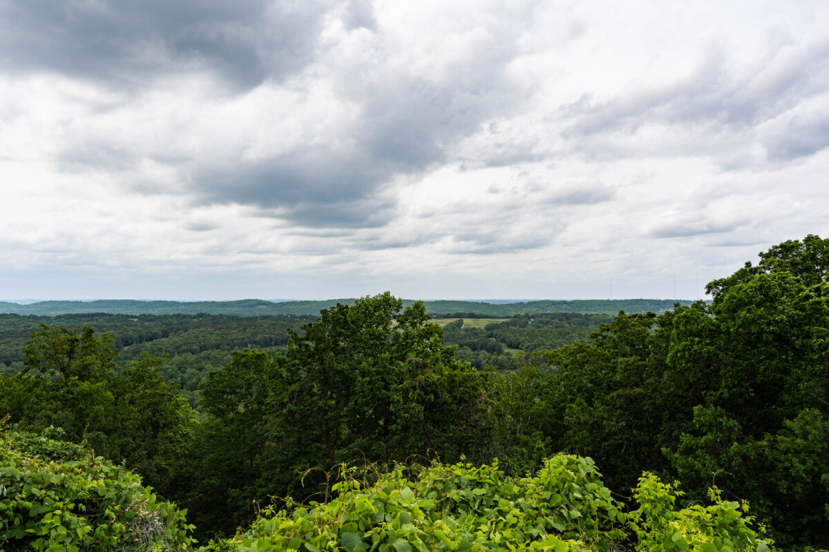 Will Forever Wild save one of Birmingham’s most breathtaking overlooks? A new coalition hopes so. 4 Bluff Park